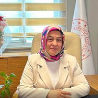 İlçeler
