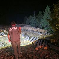 Gündem