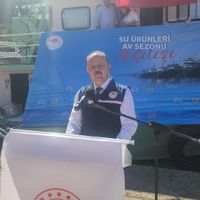 İlçeler