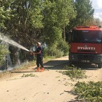 Asayiş