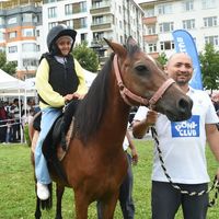 Merkez