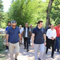 İlçeler