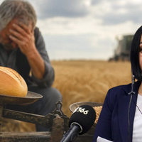 Politika