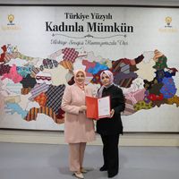 İlçeler