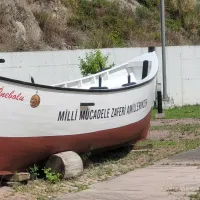 İlçeler
