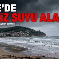 İlçeler