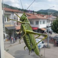 İlçeler