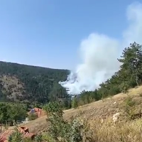 Asayiş