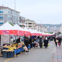 İlçeler