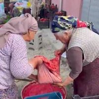 İlçeler