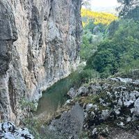 Ansiklopedi