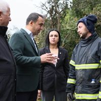 İlçeler