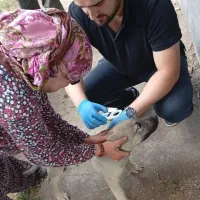İlçeler