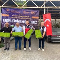 İlçeler
