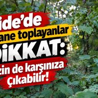 İlçeler