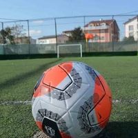 Spor