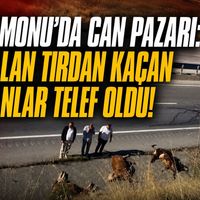 Asayiş