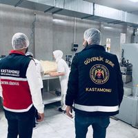 Sağlık