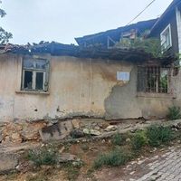 Merkez