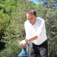 Merkez