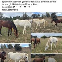 Gündem