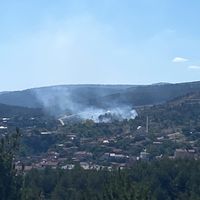 Asayiş