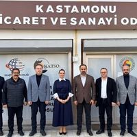 Politika