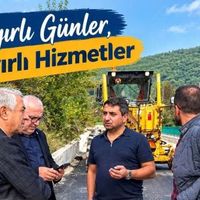 İlçeler
