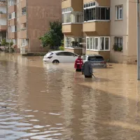 İlçeler
