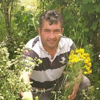 Asayiş