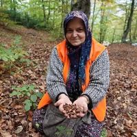 İlçeler