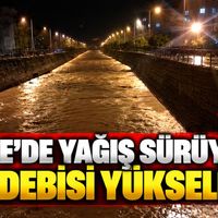İlçeler