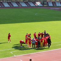 Spor