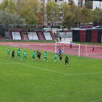 Spor