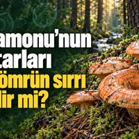 Bilim