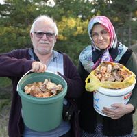 Gündem