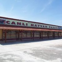 İlçeler