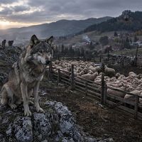 Gündem