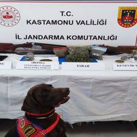 Asayiş