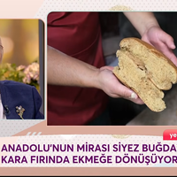Kültür