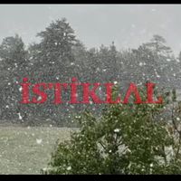 İlçeler