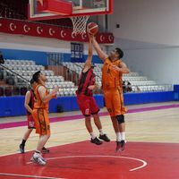 Spor