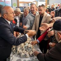 İlçeler