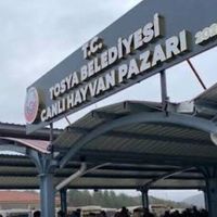 Sağlık