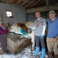 İlçeler