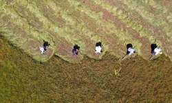 Köylerdeki tarım arazileri  için mirasçılık belgesi karar