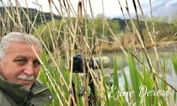 Kastamonu'da doğa ve yaban tutkunları bir araya gelecek