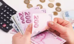 Hesabınıza yanlışlıkla 500 bin lira gelse ne yapardınız? [VİDEO-AA]