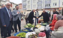 MHP’den AĞLI ilçesine çıkarma