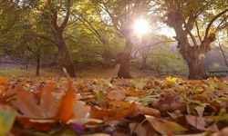 Kastamonu'da sonbaharın büyüleyici etkisi